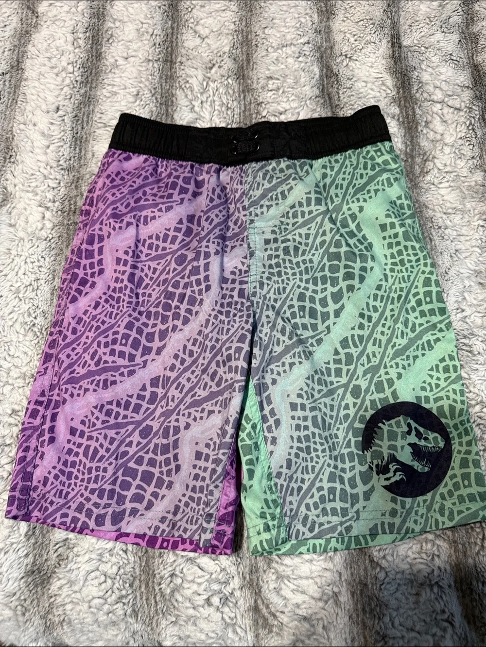 Two Swim Trunks (CARTERS-JURASSIC PARK)